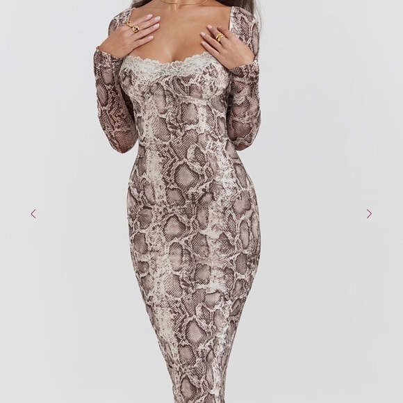 SERAPHINA
Snake Print Corset Dress - Picture 4 of 10